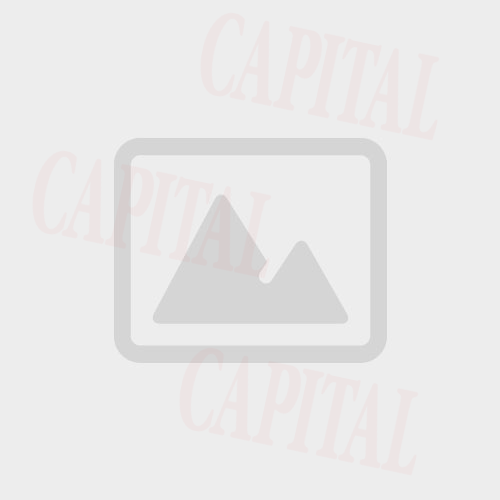 0-18053-capital0001renaultsymbol.jpg